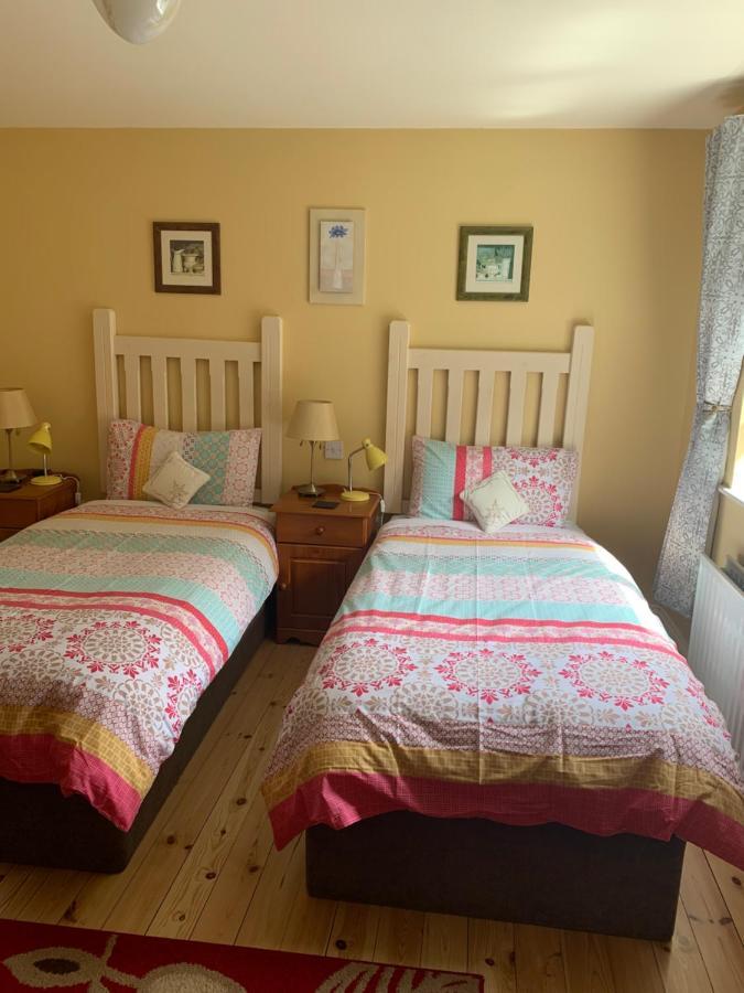 Teac Seain Bar & Bnb Anascaul Exterior foto